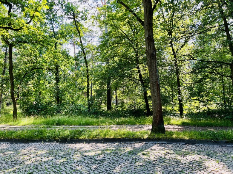 Dahlem – Messelpark bezugsfreie Wohnung